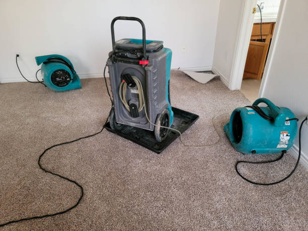 Best Flooded house restoration  in Martinsburg, WV