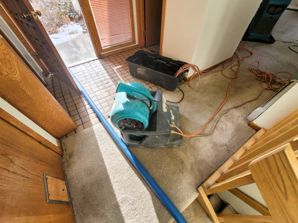 Best 24/7 water damage repair  in Martinsburg, WV