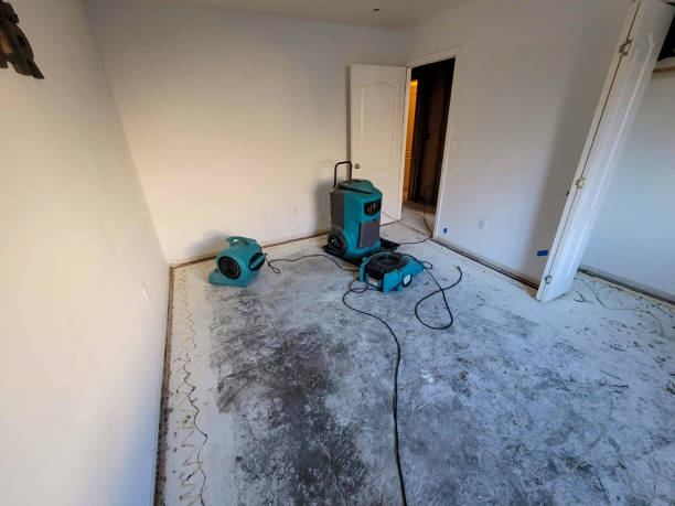 Best Basement water damage restoration  in Martinsburg, WV