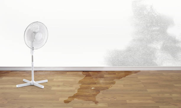 Best Ceiling water damage repair  in Martinsburg, WV