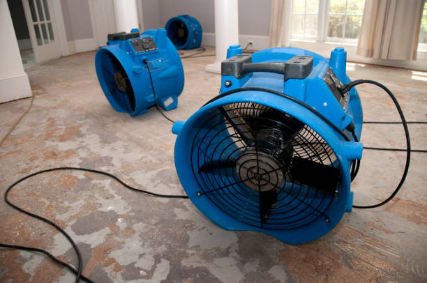 Best Sewage cleanup and water damage restoration  in Martinsburg, WV