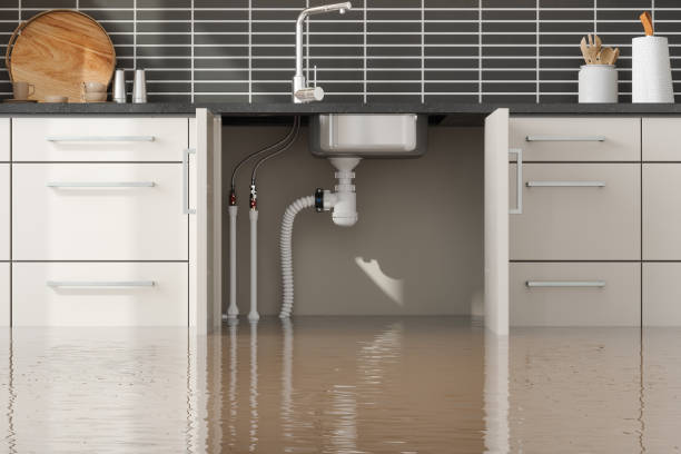Best 24-hour water damage restoration  in Martinsburg, WV
