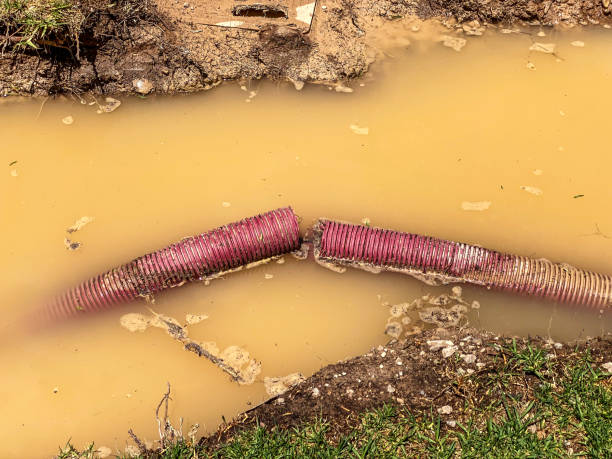 Best Professional water damage repair  in Martinsburg, WV