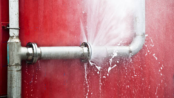 Reliable Martinsburg, WV Water damage restoration Solutions